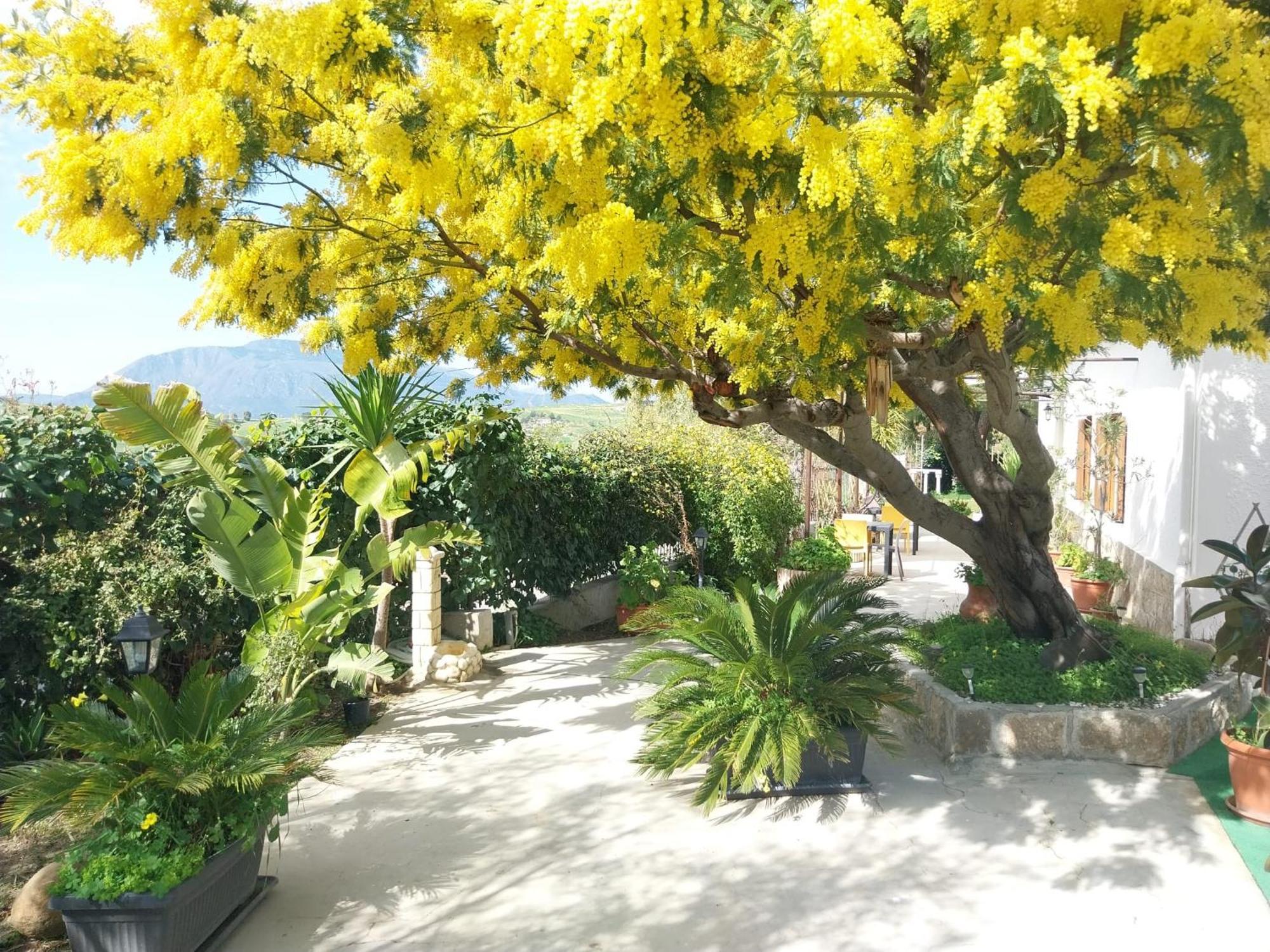 Casa Lachesi Caccamo 외부 사진