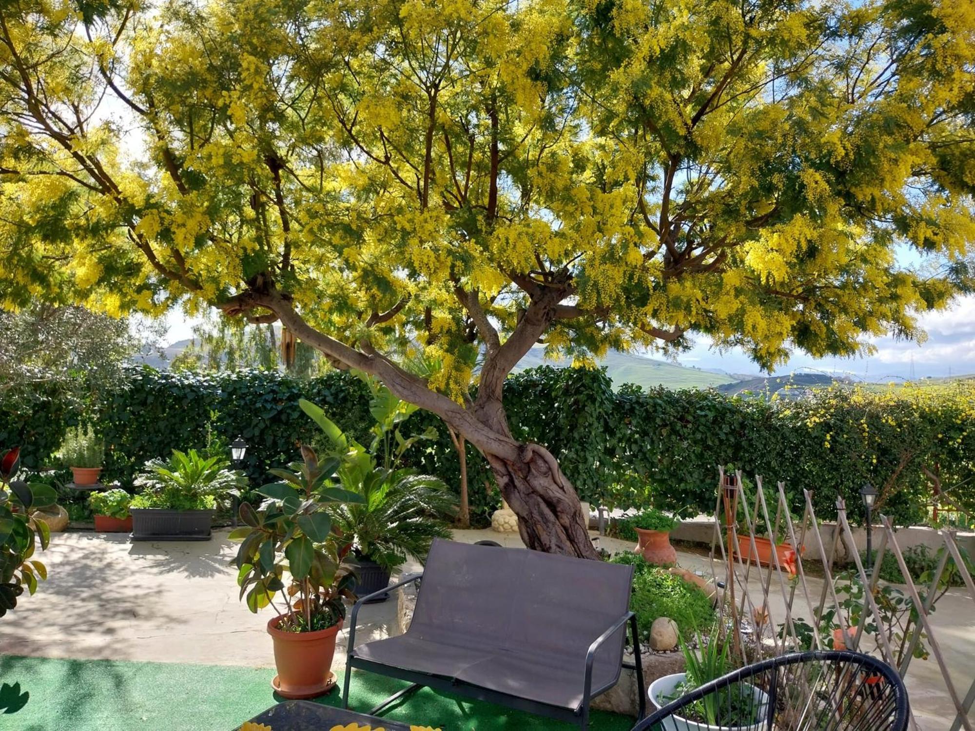 Casa Lachesi Caccamo 외부 사진